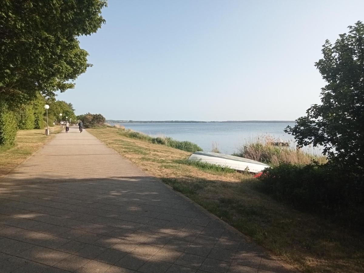 Strandgruen Rerik Extérieur photo