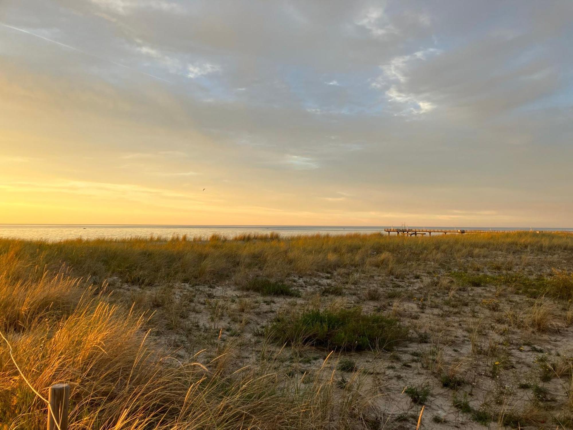 Strandgruen Rerik Extérieur photo